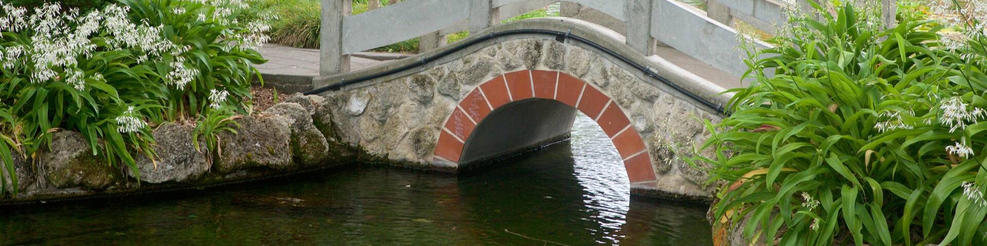 Hastings showing a bridge, bird life and a river or creek