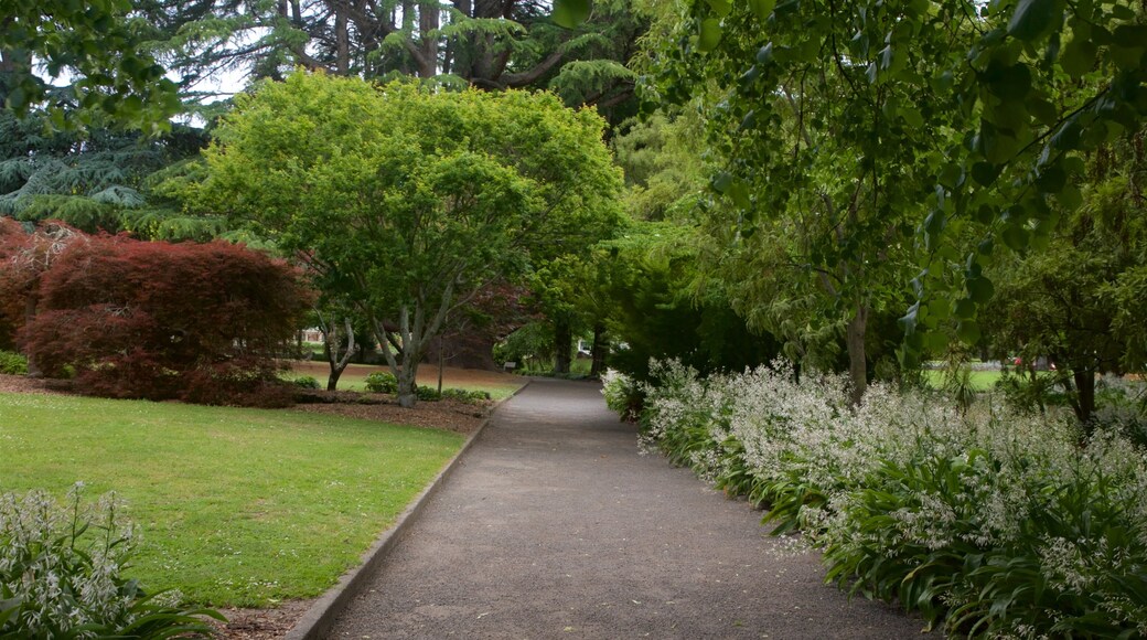 Hastings featuring a park