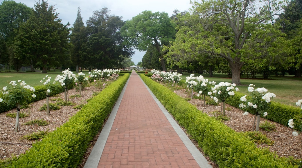 Hastings ofreciendo flores y jardín