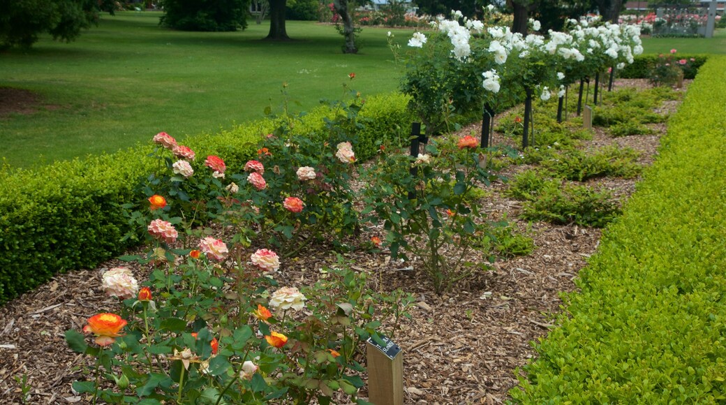 Hastings showing a garden and flowers