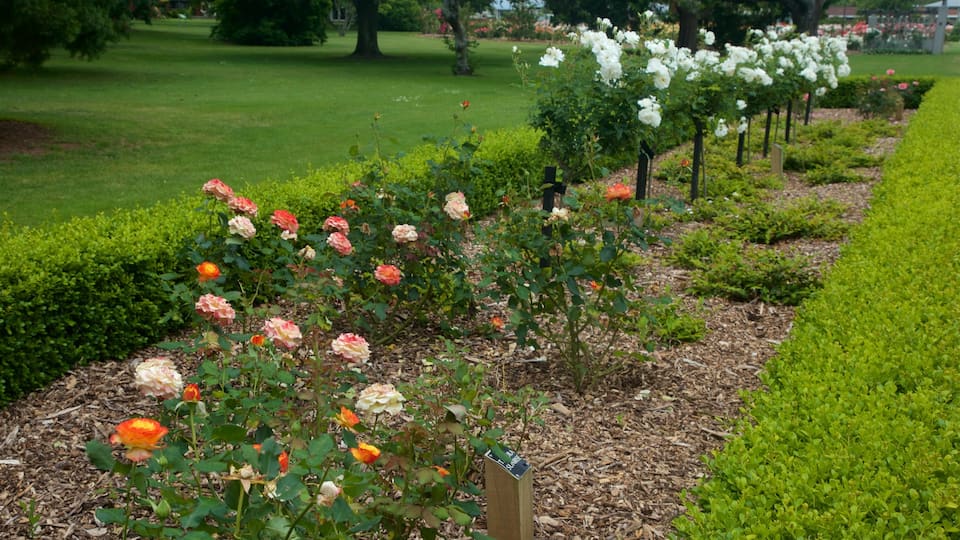 Hastings showing flowers and a garden