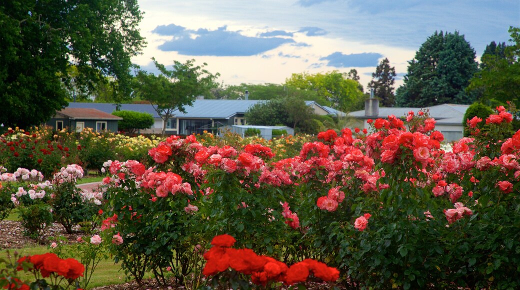 Hastings showing a garden and flowers