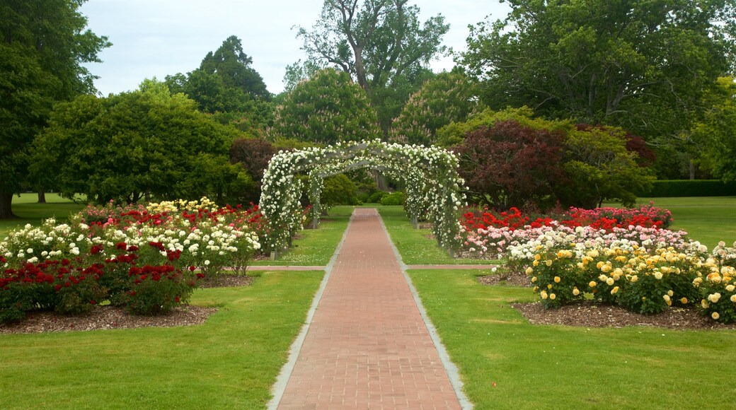 Hastings showing a park and flowers