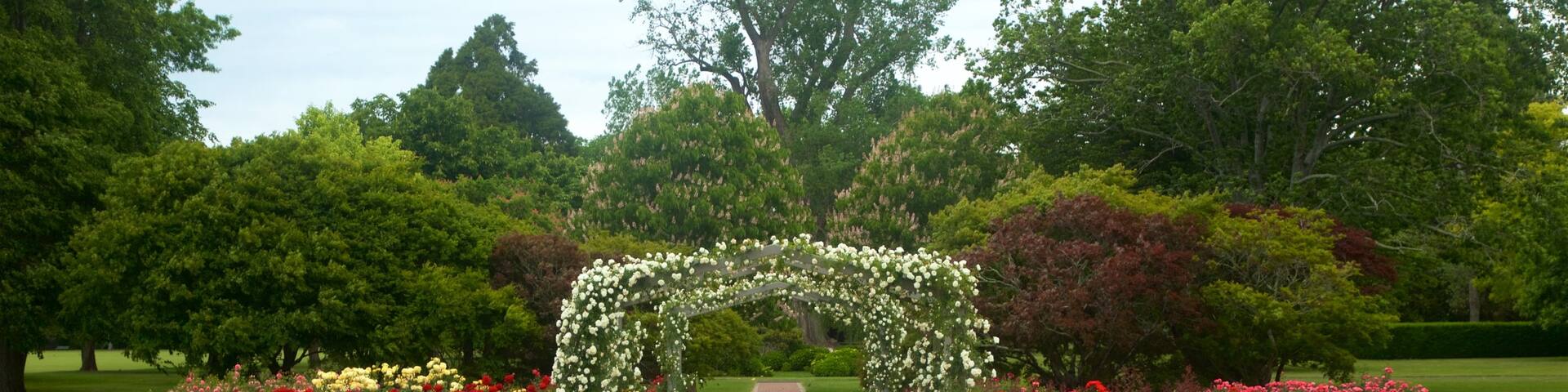 Hastings das einen Blumen und Garten