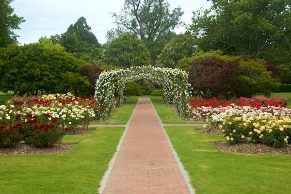 Hastings featuring flowers and a park