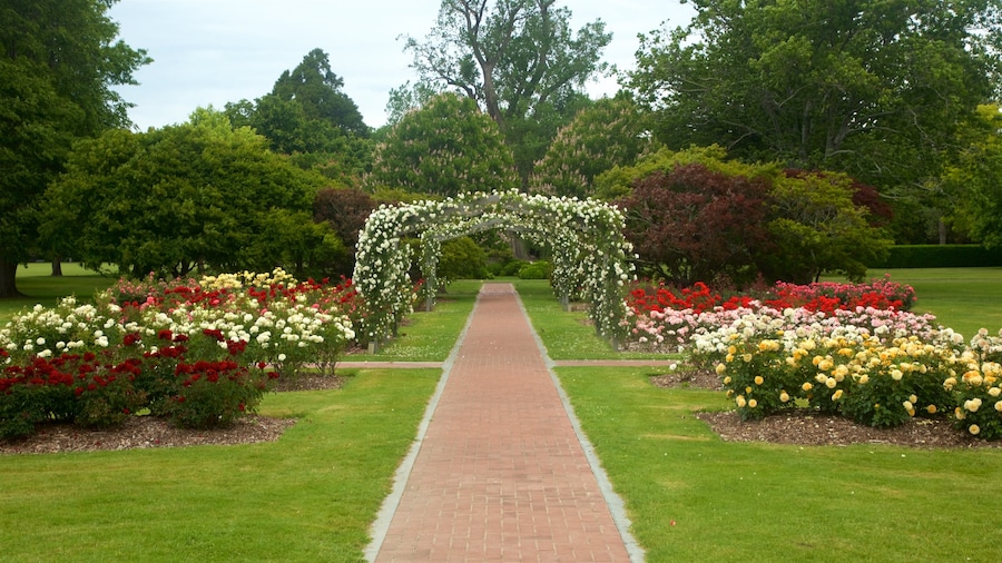 Hastings presenterar en trÀdgÄrd och blommor