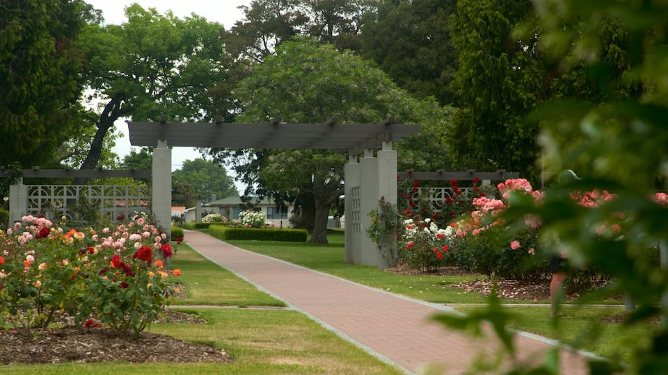 Hastings showing a park and flowers