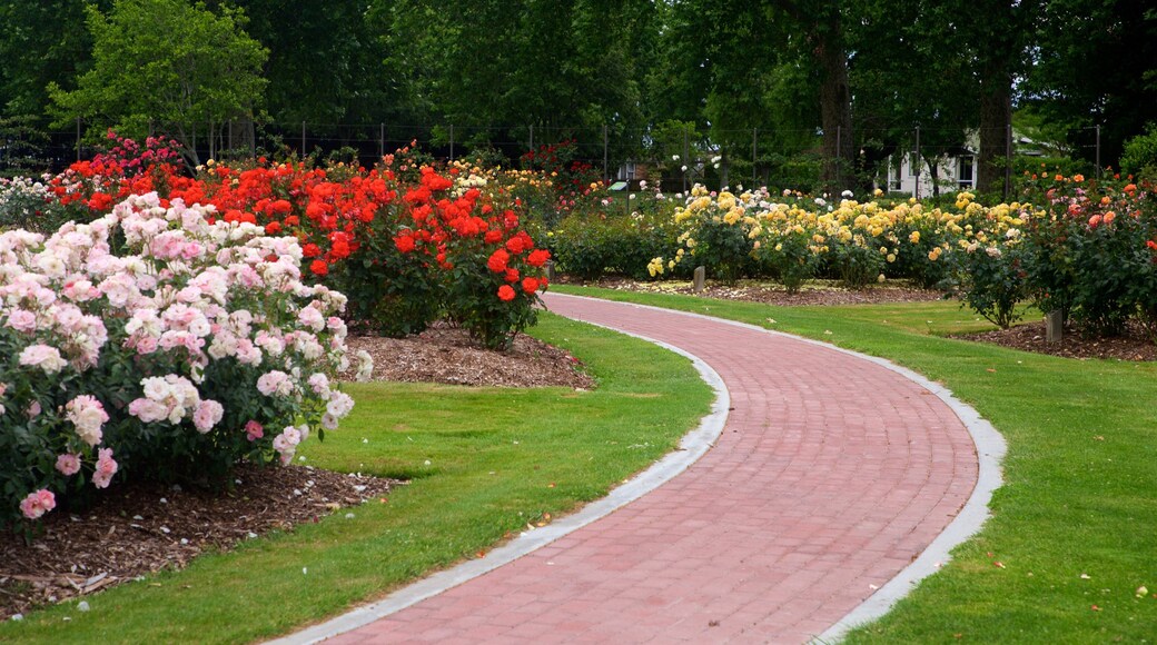 Hastings showing wild flowers and a park