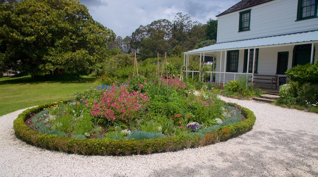 Stone Store showing wild flowers and a garden