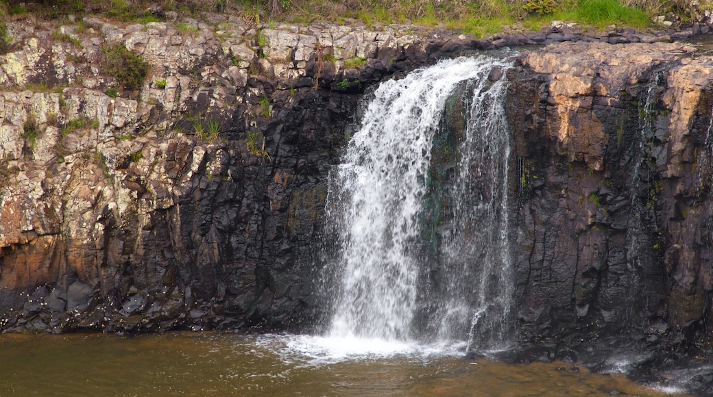 Paihia showing a waterfall