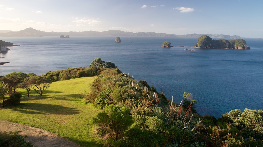 Whitianga que incluye un parque, vista a una isla y vista general a la costa