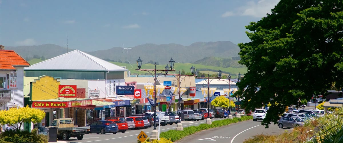 Waihi featuring a small town or village