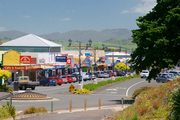 Waihi welches beinhaltet Kleinstadt oder Dorf