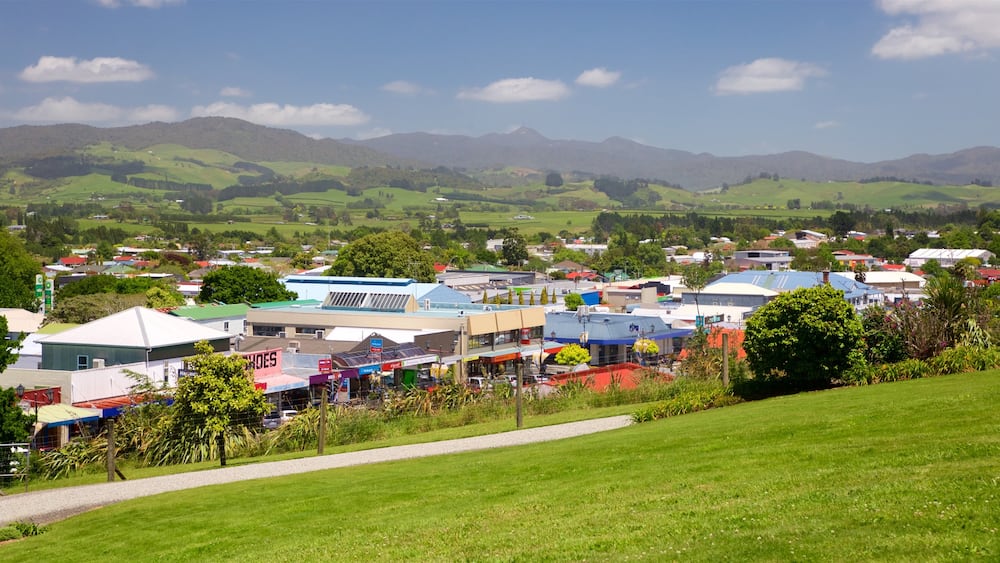 Waihi featuring tranquil scenes, a small town or village and landscape views