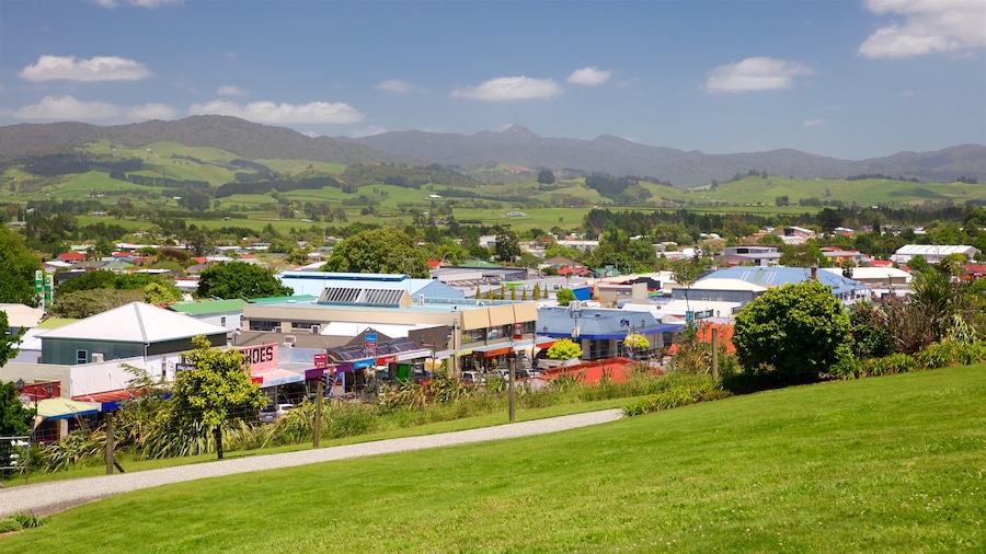 Waihi featuring landscape views, tranquil scenes and a small town or village