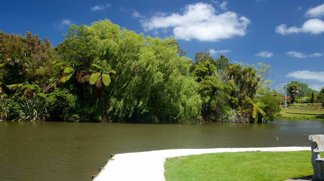 Waihi showing a river or creek and a garden