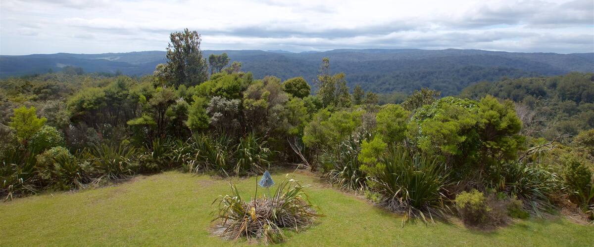 Waipoua Forest featuring tranquil scenes and landscape views