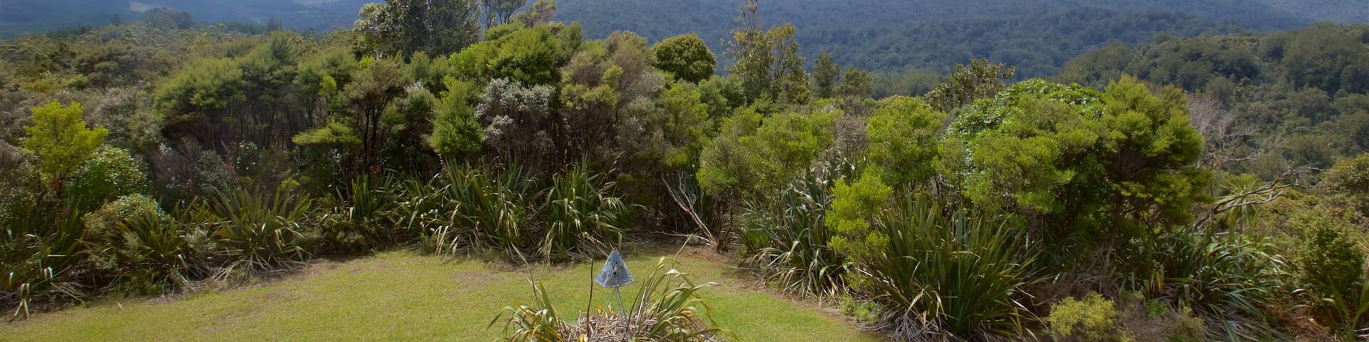 Waipoua Forest welches beinhaltet ruhige Szenerie und Landschaften