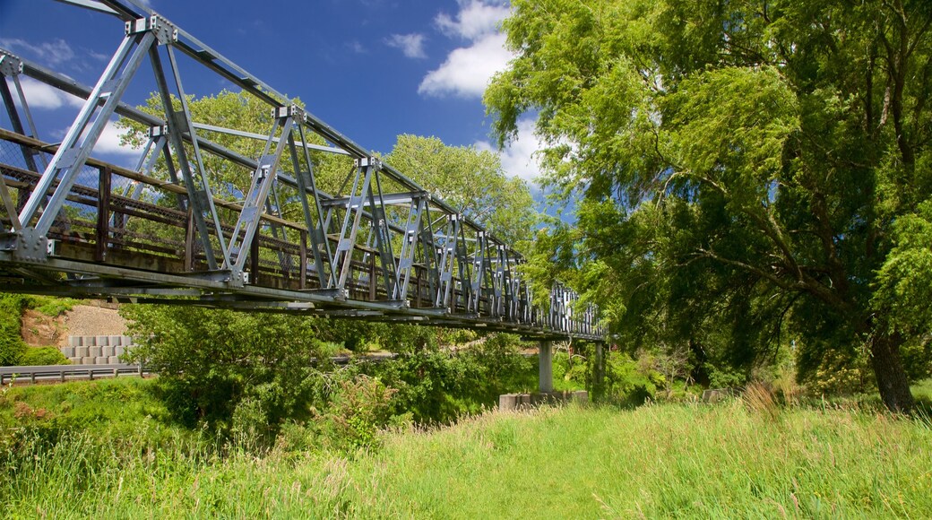 Hauraki Rail Trail - Day Rides featuring tranquil scenes and a bridge