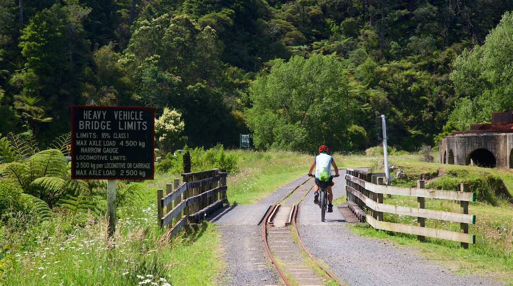 Hauraki Rail Trail - Day Rides which includes cycling, signage and tranquil scenes