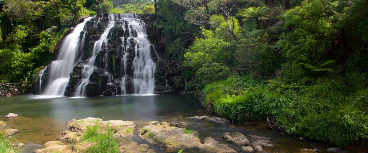 Paeroa featuring a cascade and a river or creek