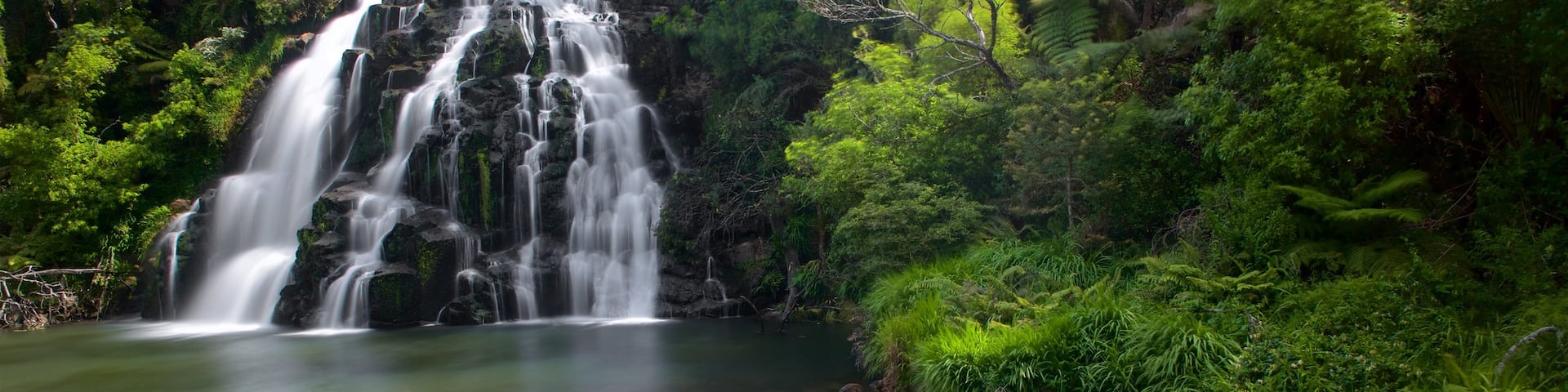Owharoa Falls which includes a river or creek and a cascade