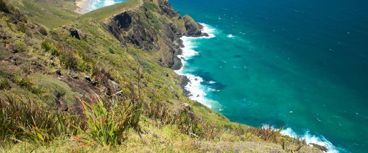 Cape Reinga which includes rugged coastline and general coastal views
