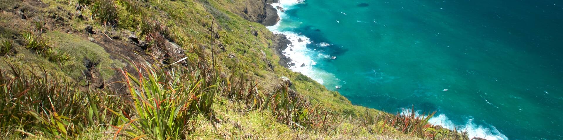 Cape Reinga which includes rugged coastline and general coastal views