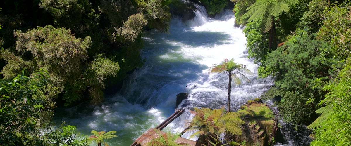 Okere Falls Scenic Reserve ซึ่งรวมถึง กระแสน้ำไหลเชี่ยว และ แม่น้ำหรือลำธาร