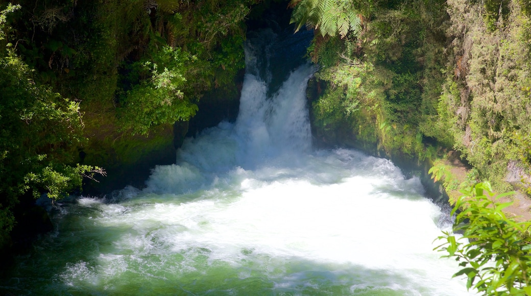 Okere Falls Scenic Reserve som inkluderar forsar och en å eller flod