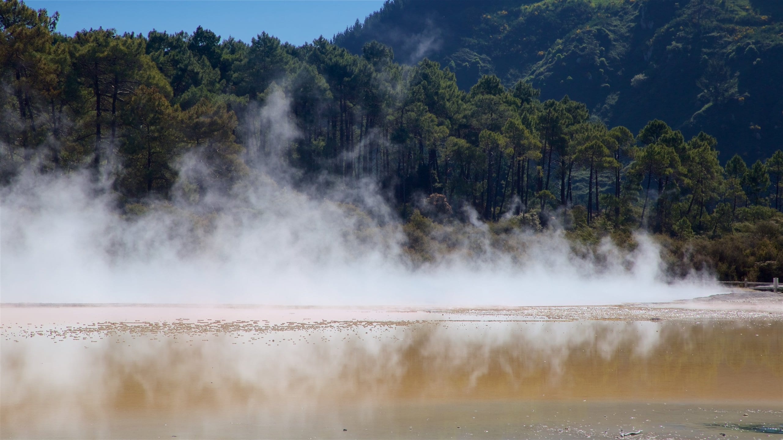 와이오타푸 여행 정보: 꼭 가봐야할 곳 추천 리스트 & 여행 후기 | 익스피디아
