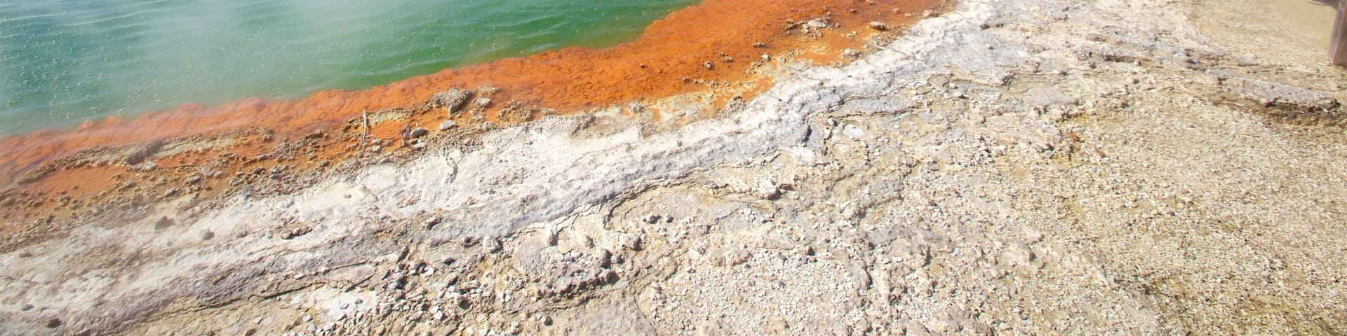 Wai-O-Tapu Thermal Wonderland featuring mist or fog and a hot spring as well as a small group of people