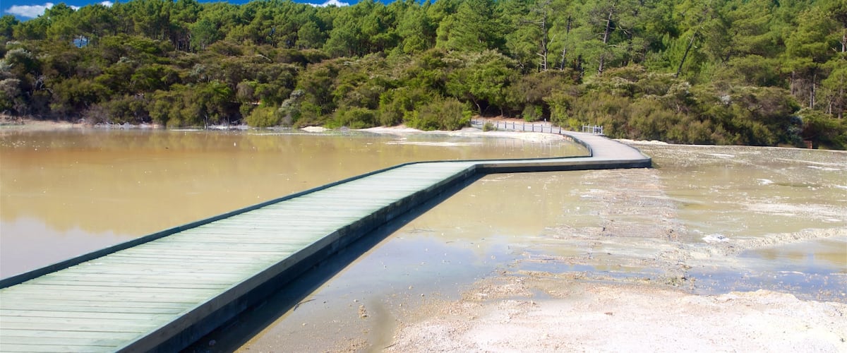 Wai-O-Tapu Thermal Wonderland featuring a bridge and a hot spring