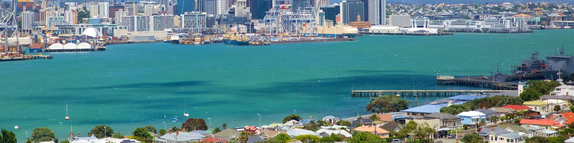 Mount Victoria showing a city, a bay or harbour and a high-rise building