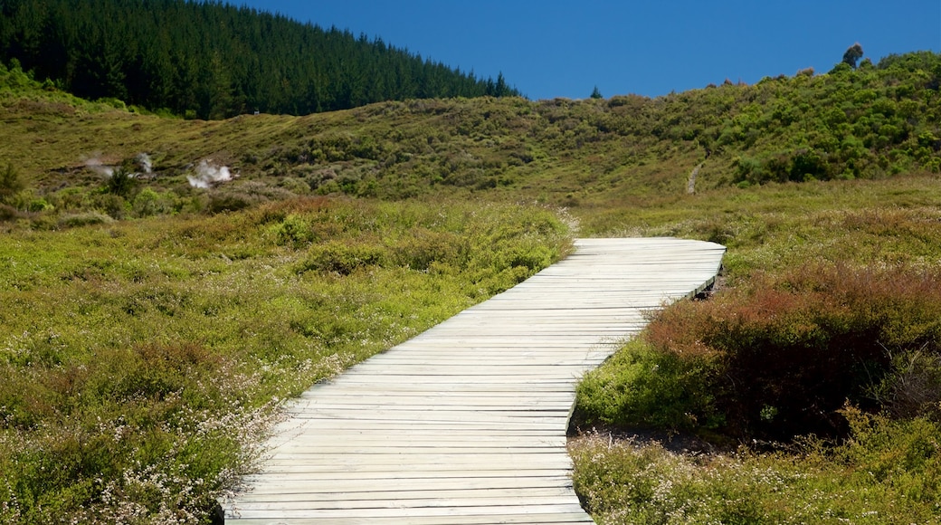 Craters of the Moon featuring tranquil scenes and landscape views