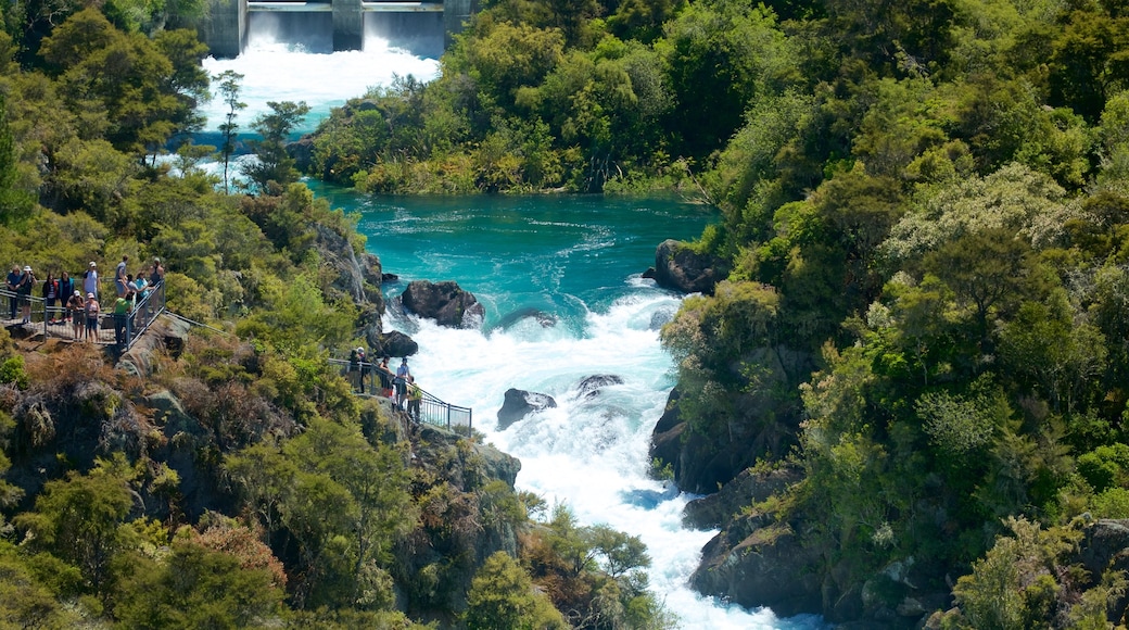 Aratiatia Rapids which includes rapids, a river or creek and forest scenes