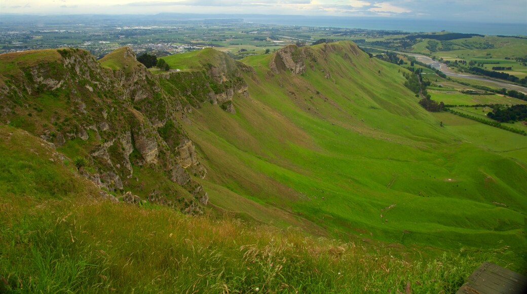 Te Mata Peak featuring tranquil scenes and landscape views