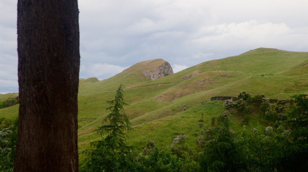 Te Mata Peak featuring tranquil scenes