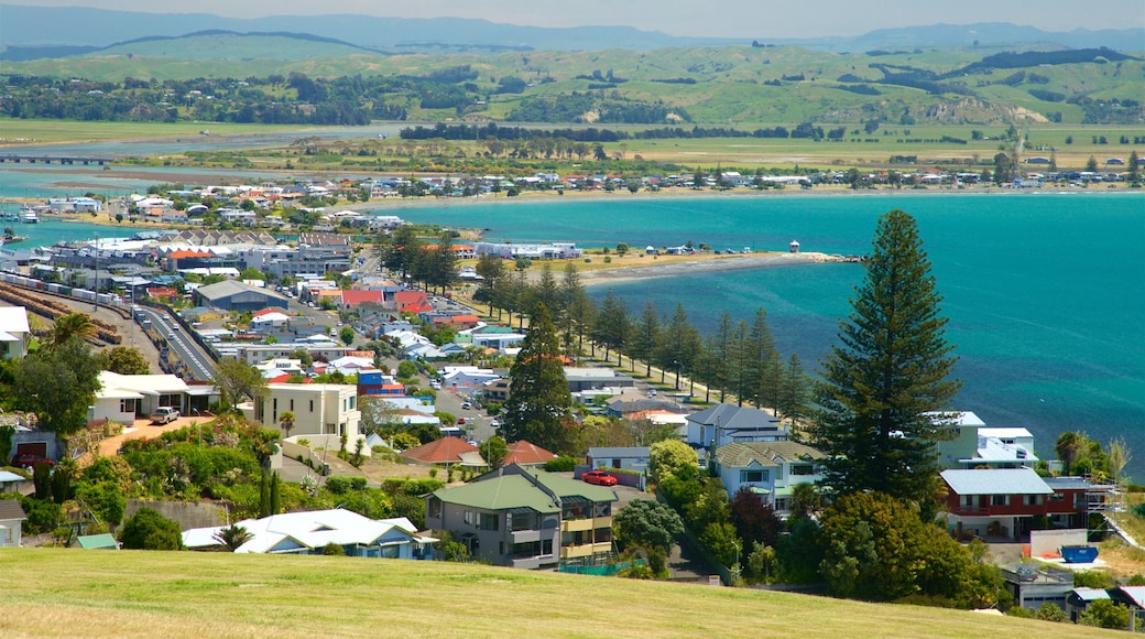 Bluff Hill Domain Lookout showing tranquil scenes, landscape views and a small town or village