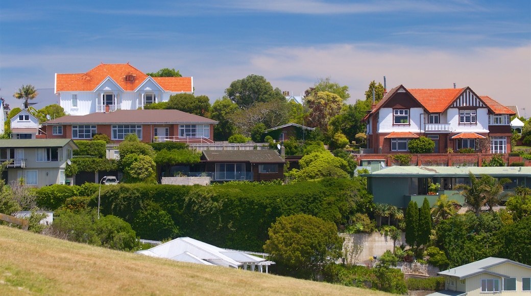 Bluff Hill Domain Lookout que incluye una casa