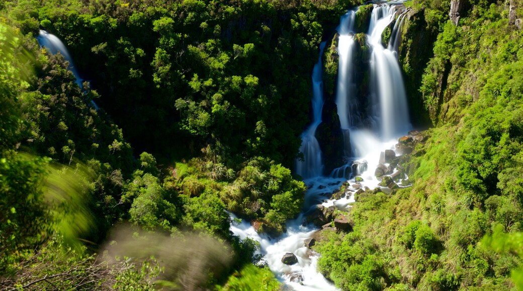 Waipunga Falls showing a cascade, forests and a river or creek