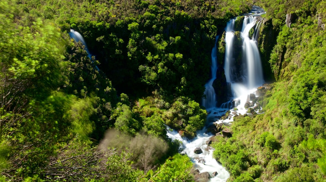 Waipunga Falls which includes a river or creek, a waterfall and forests