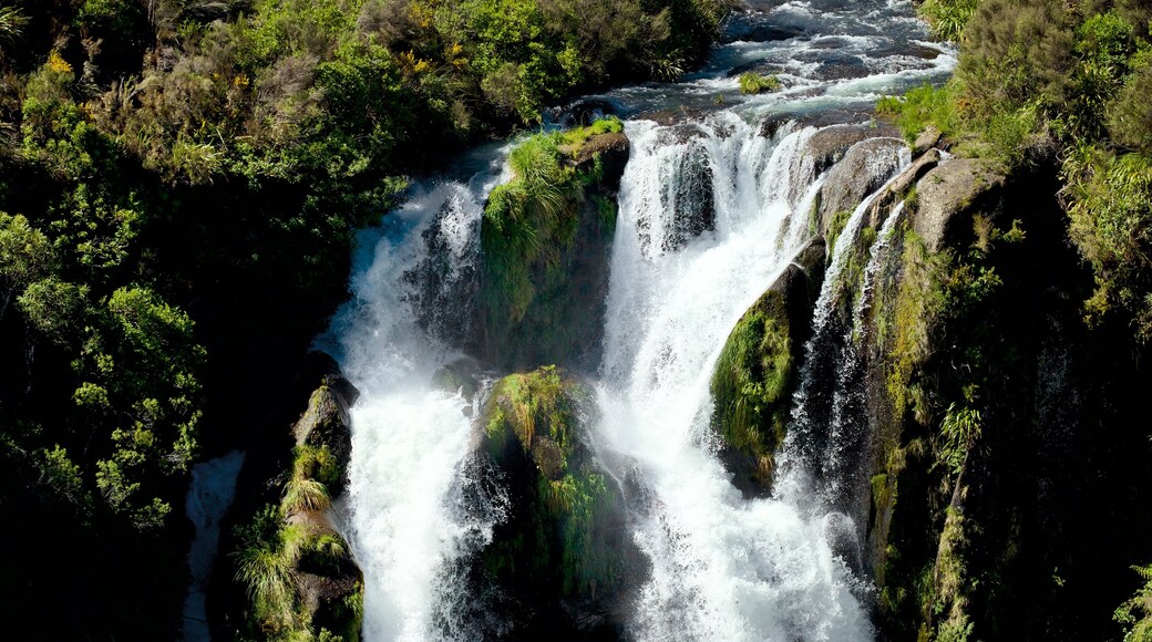 Waipunga Falls showing a river or creek and a waterfall