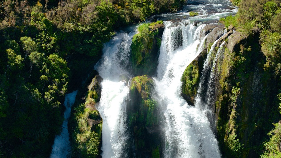 Waipunga Falls bevat een waterval en een rivier of beek