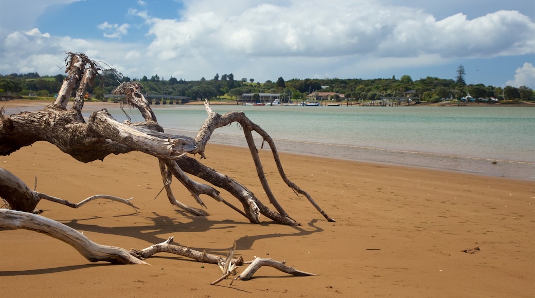 Paihia Beach which includes a sandy beach and general coastal views