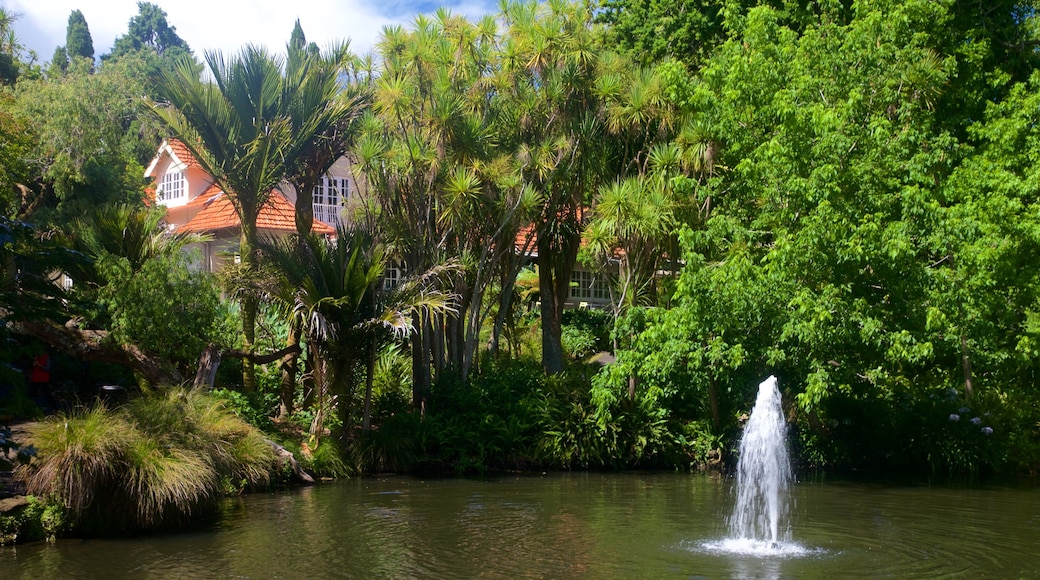 Auckland Domain which includes a fountain, a garden and a pond