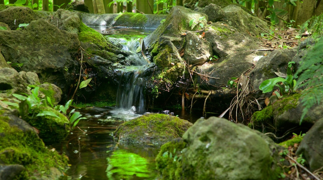 Botanica & Cafler Park showing a river or creek