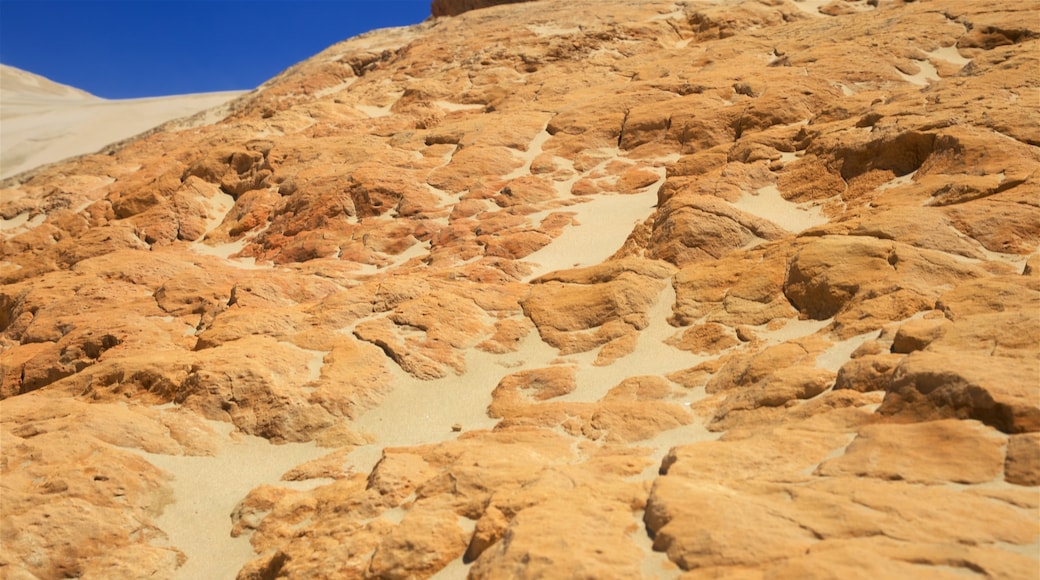 Te Paki Sand Dunes showing desert views