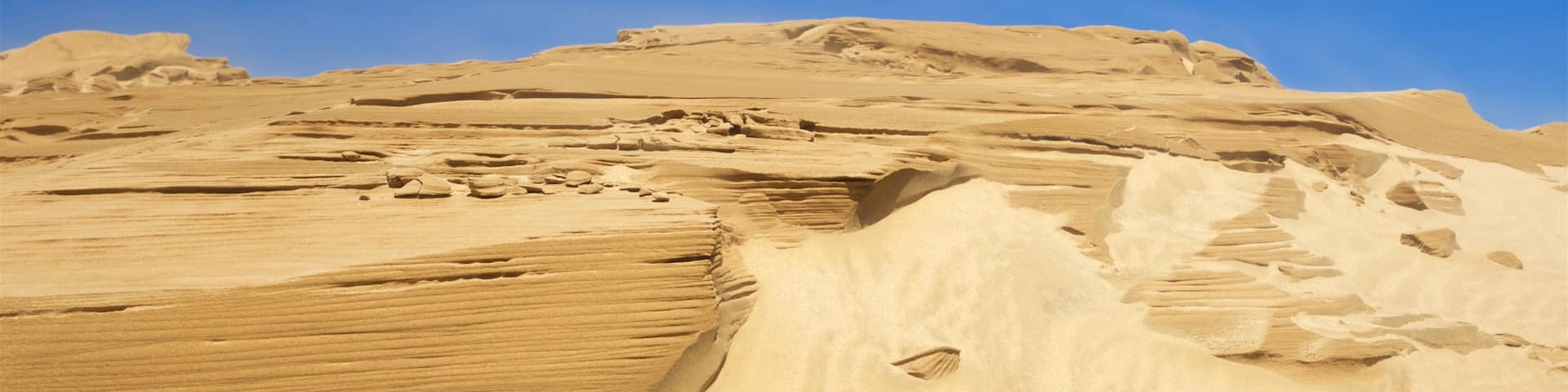 Te Paki Sand Dunes showing desert views