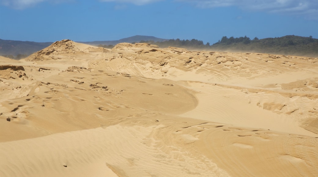 Te Paki Sand Dunes showing landscape views and desert views